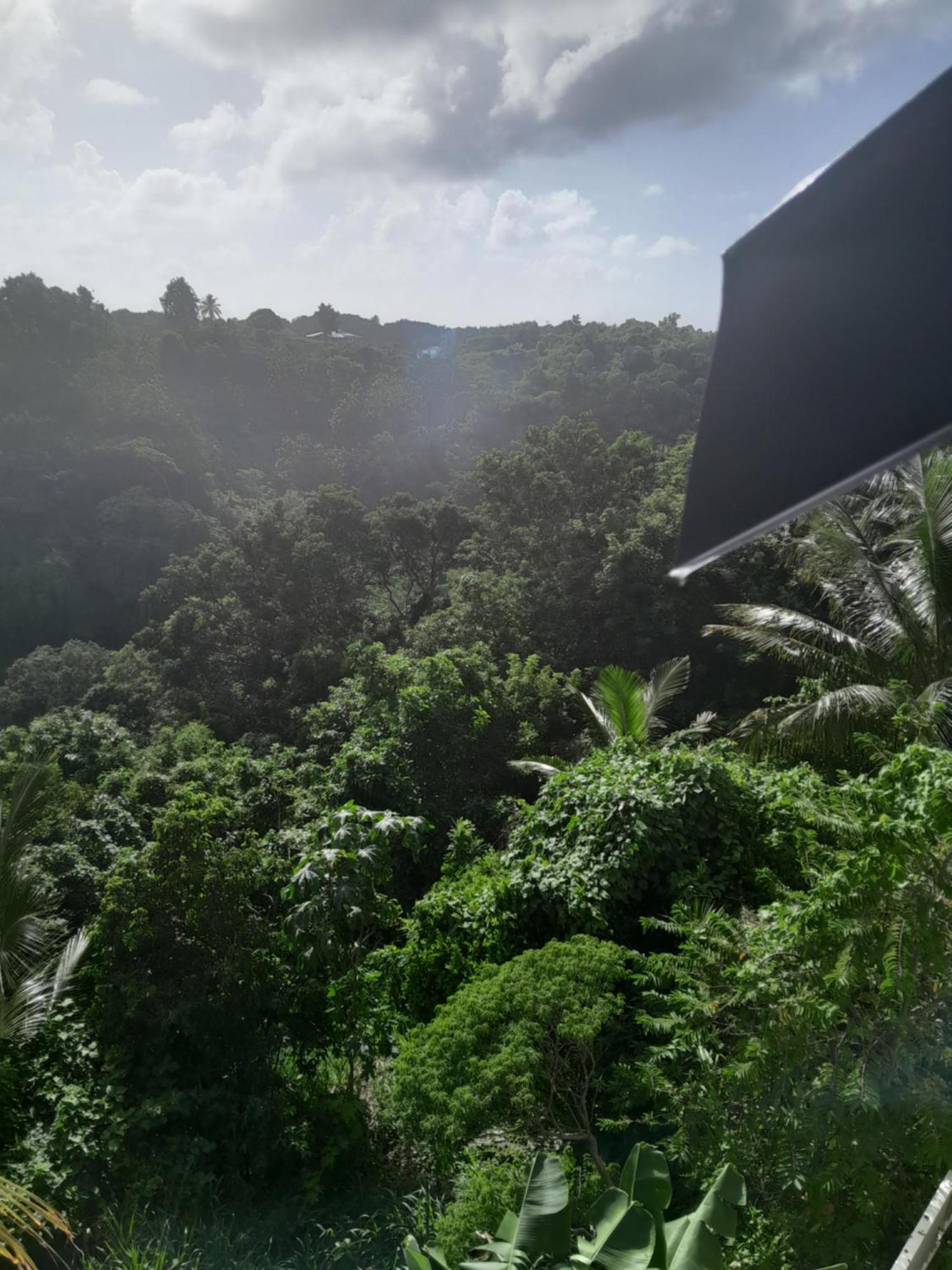 Apartamento Les Manguiers Sainte-Anne  Exterior foto